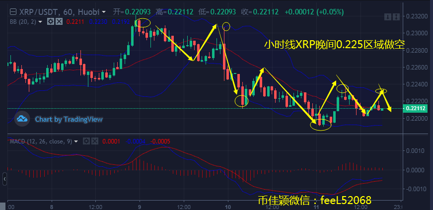 XRP跑赢比特币，分析其崛起背后的动因与未来展望，XRP逆袭比特币，揭秘其崛起之谜与未来前景展望