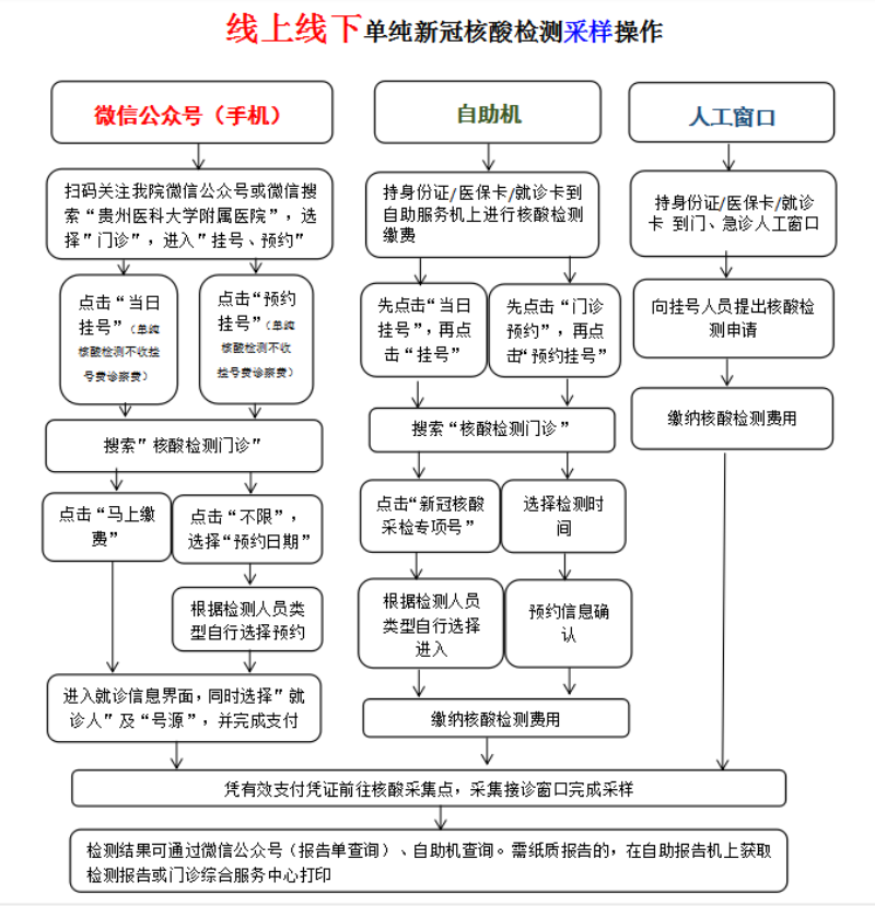 华山最新核酸检测攻略，全面解析检测流程及注意事项，华山核酸检测全攻略，流程解析与注意事项一览