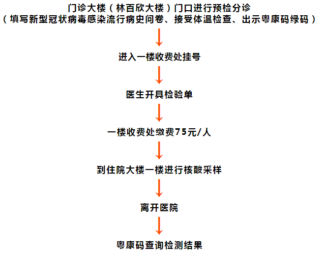 华山最新核酸检测攻略，全面解析检测流程及注意事项，华山核酸检测全攻略，流程解析与注意事项一览