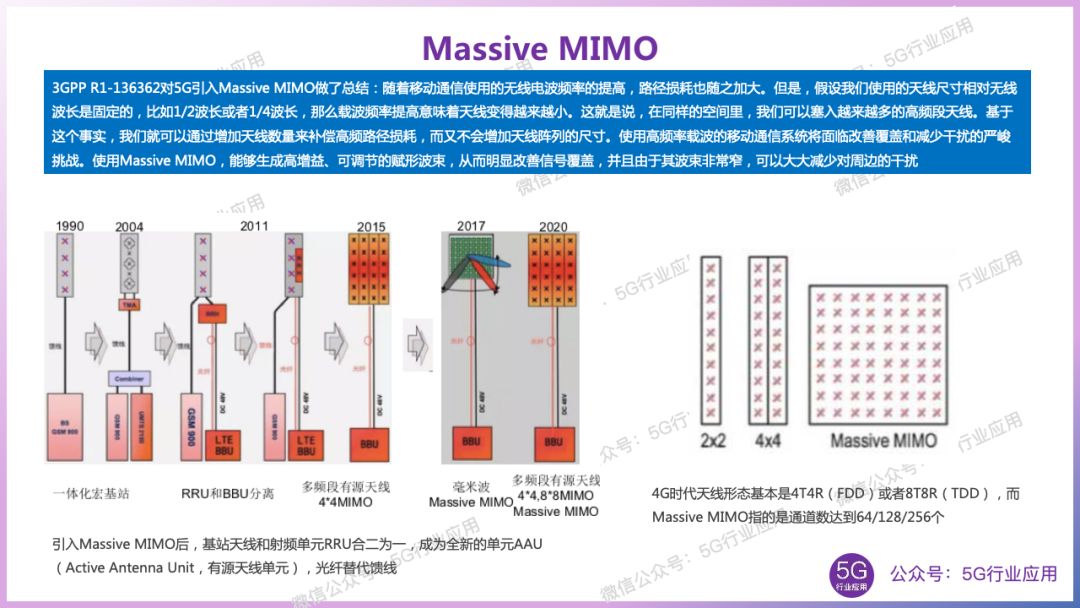 扑槿惠最新消息，深度解析其现状与发展动向，扑槿惠最新动态，现状深度解析与发展动向探讨