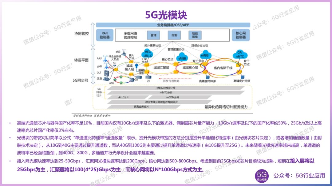 扑槿惠最新消息，深度解析其现状与发展动向，扑槿惠最新动态，现状深度解析与发展动向探讨