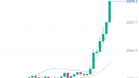 比特币行情图10年，比特币十年行情走势图揭秘