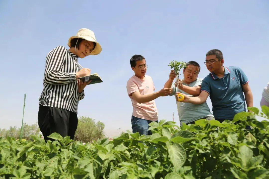 山丹新能源车补贴政策，山丹新能源车补贴政策解读