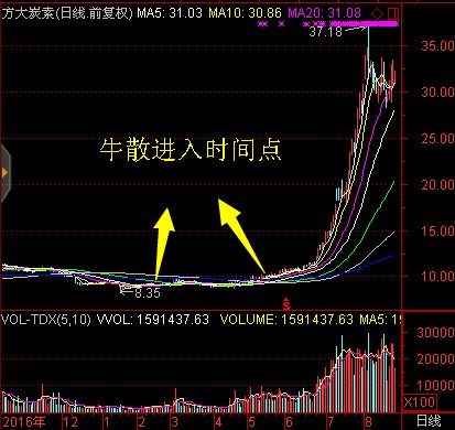 最新大牛散持股，揭秘最新大牛散持股动向