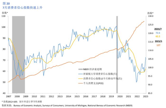 2023年金银花市场最新行情分析，趋势与展望，2023金银花市场行情洞察，趋势解析与未来展望