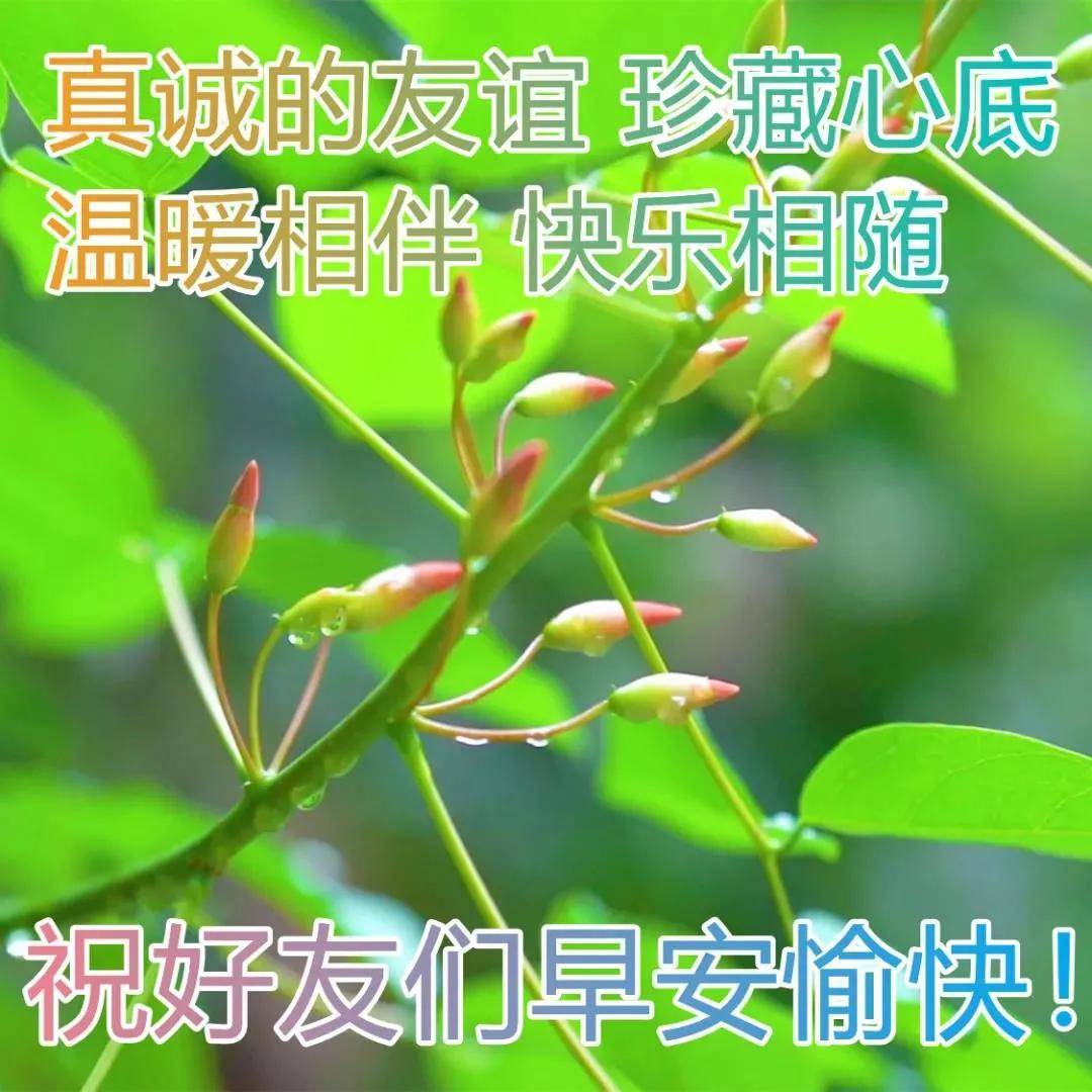 11月10日最新创意好看的早上好祝福图片带字 2022唯美早安问候祝福图片精选