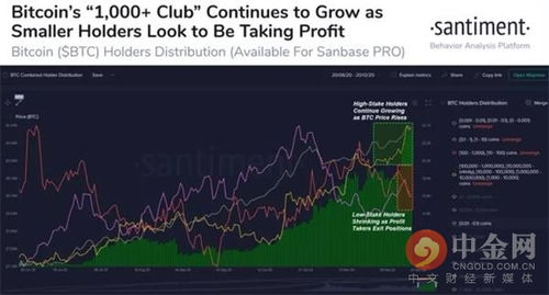 沙特对比特币的禁令，国家监管与市场反应，沙特对比特币禁令引发市场震荡，国家监管与市场反应探究