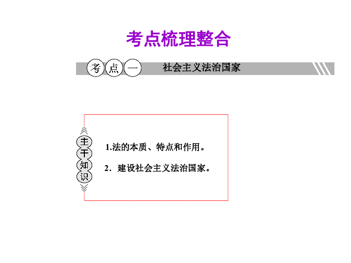 最新骆驼趾，最新骆驼趾研究：从基础知识到百度优化策略的探索之旅