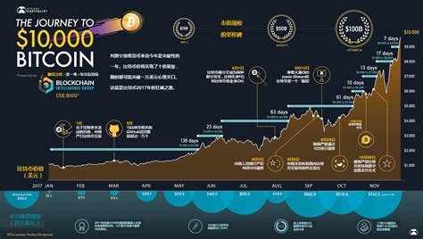 比特币历史视频价格，比特币价格走势回顾，从历史视频看比特币价值演变