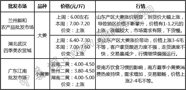 潍坊大姜最新价格行情分析，市场波动下的投资指南，潍坊大姜价格动态解析，市场波动下的投资策略揭秘