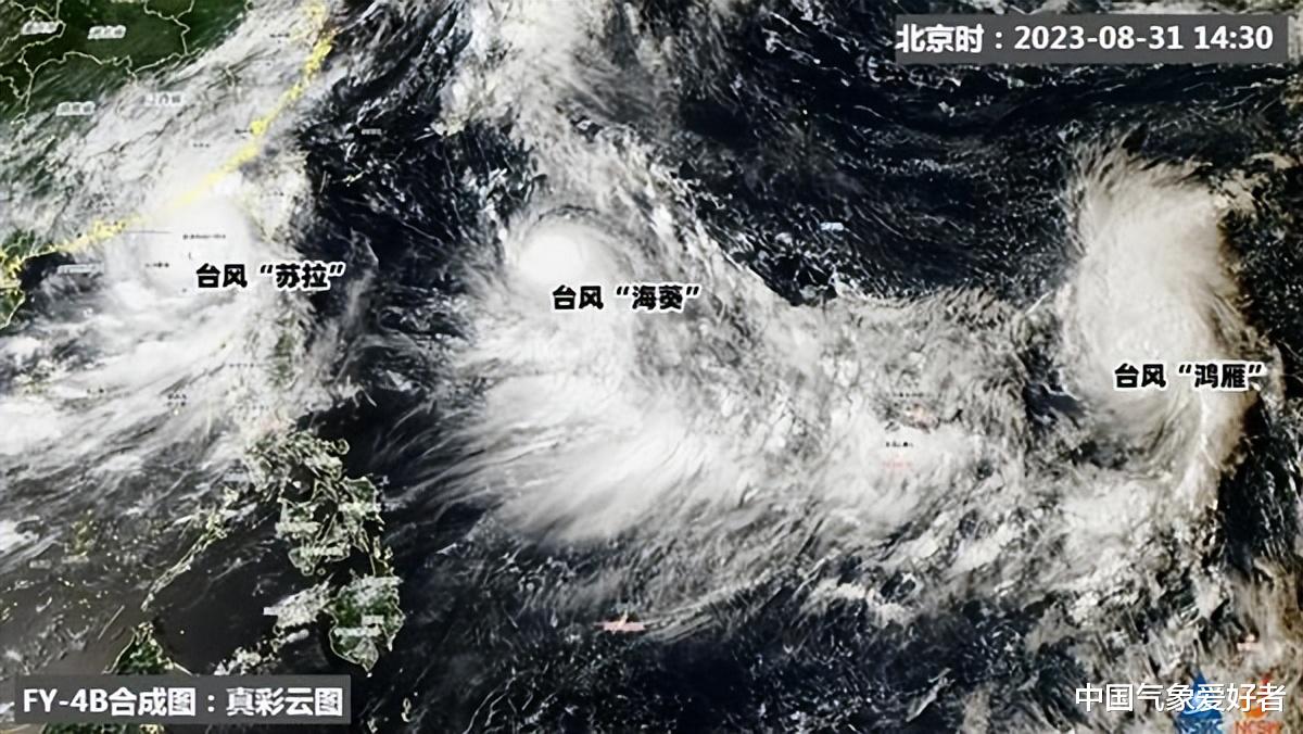 最新台风情况实时动态，实时追踪，最新台风动态全解析