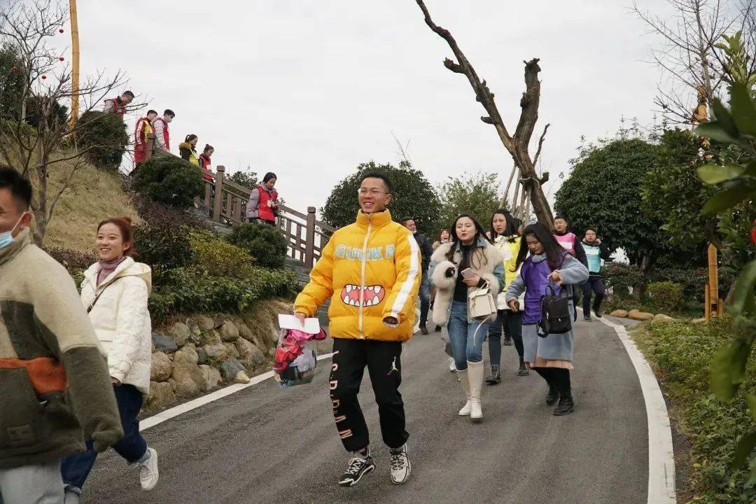 最新溆浦县，探索最新溆浦县发展动态