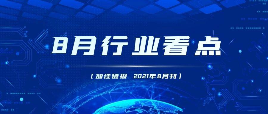 比特币外汇战争的幕后推手，技术革新与全球金融格局的碰撞，比特币外汇战争幕后，技术革新重塑全球金融版图