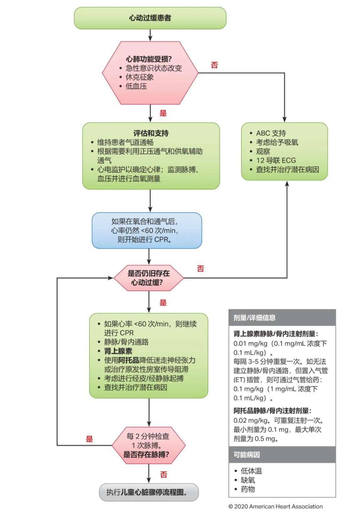 心肺最新版，心肺功能评估与训练最新版指南