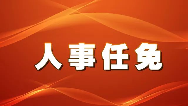 电白区最新人事任免，电白区人事任免最新动态