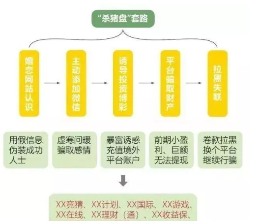 揭秘比特币诈骗杀猪盘，新型网络犯罪的黑色产业链，揭秘比特币背后的杀猪盘，新型网络犯罪的黑色产业链全解析