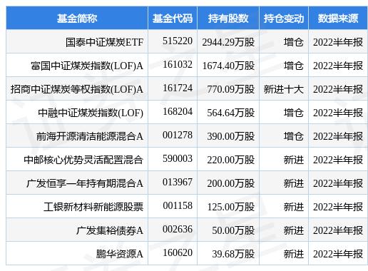 搏时新能源汽车基金净值分析，市场前景广阔，投资机会不容错过，搏时新能源汽车基金，净值飙升，抢占市场先机投资良机