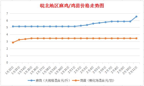 今日皖北麻鸡最新价格行情,今日皖北麻鸡最新价格行情走势，今日皖北麻鸡价格行情及走势分析