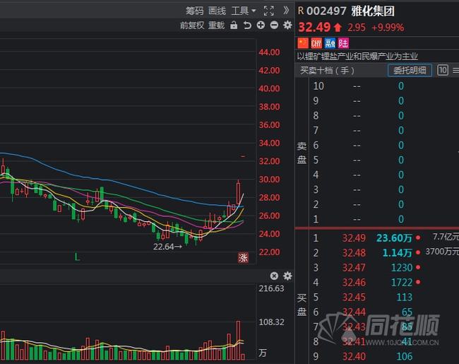 新能源背离，新能源产业趋势分化，背离与挑战并存