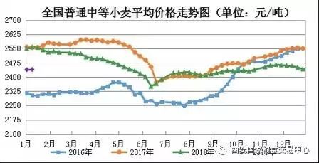 今日粮食价格最新，今日粮食价格更新报告