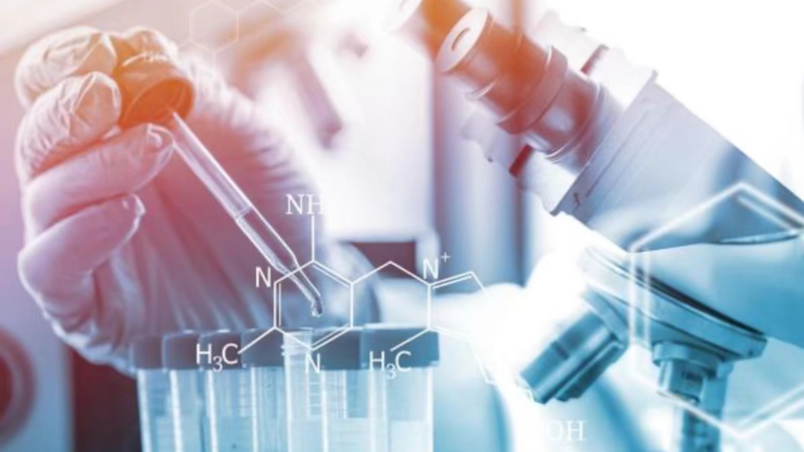 人工肾技术革新，最新突破引领肾脏疾病治疗新篇章，人工肾技术革命，开启肾脏疾病治疗新时代