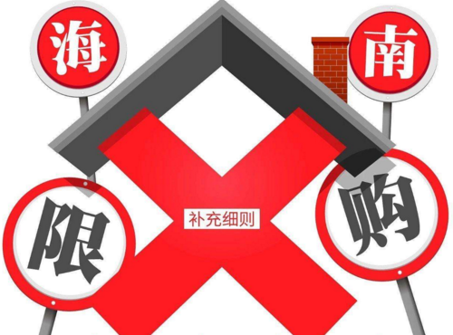 海南最新限购政策，海南最新限购政策概述