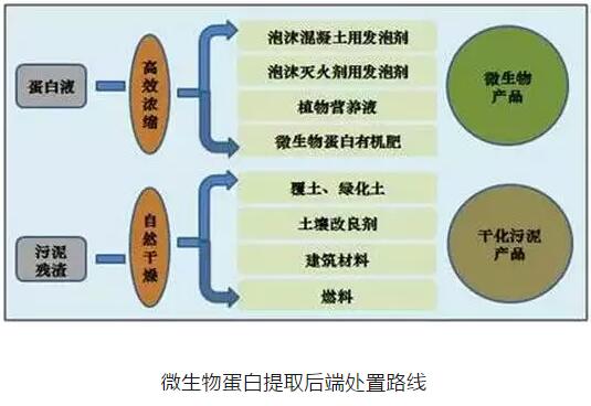 嘉兴新能源废水处理工艺，嘉兴市新能源产业废水处理技术解析