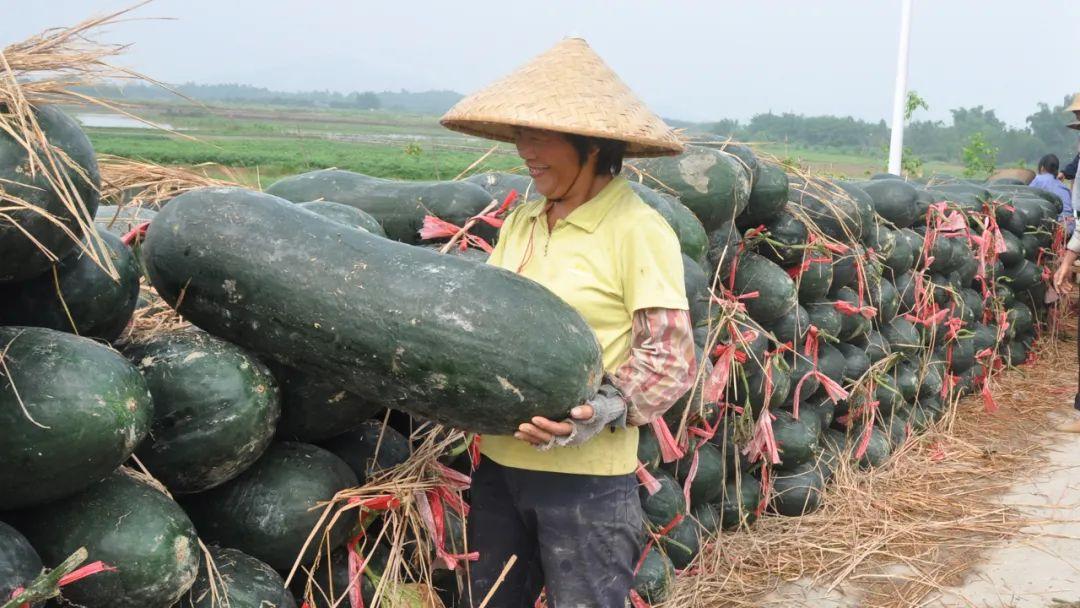 国能能源集团新能源，国能能源集团引领新能源发展新篇章