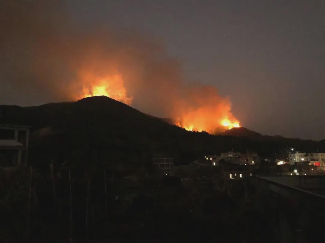 福建新能源车起火事件深度解析，原因探究与安全警示，福建新能源车火灾事件，原因剖析与安全启示