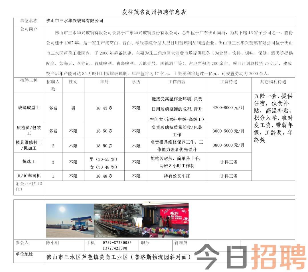 石岛最新招工信息汇总与解读，石岛最新招工信息汇总解读大全