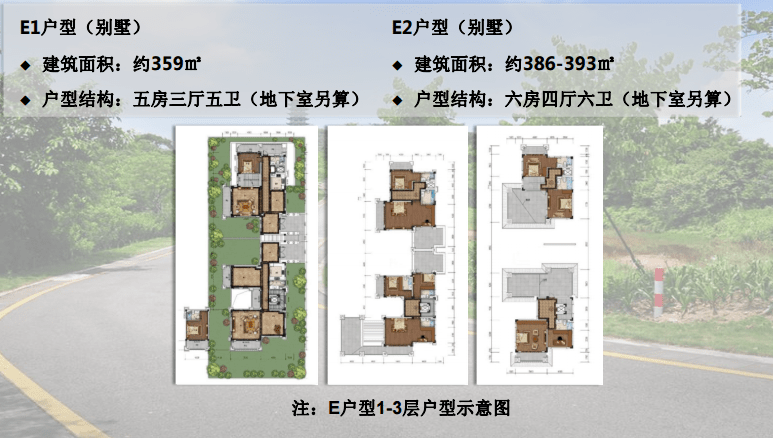 温泰房屋出租全新资讯，最新房源一览，满足您的居住需求，温泰房屋租赁信息，全新房源速览，满足您的理想居所需求