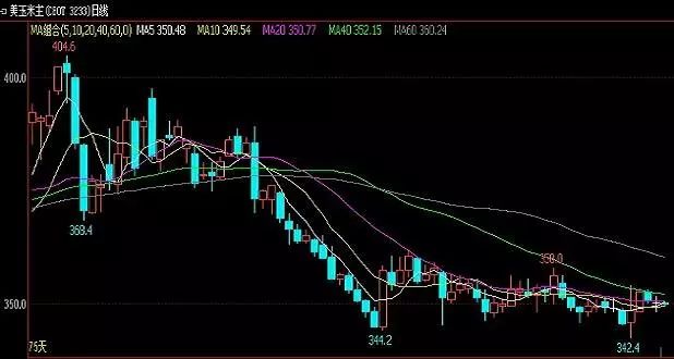 今日全国最新玉米价格行情分析与展望，全国玉米价格行情分析与展望，最新动态及未来趋势解析