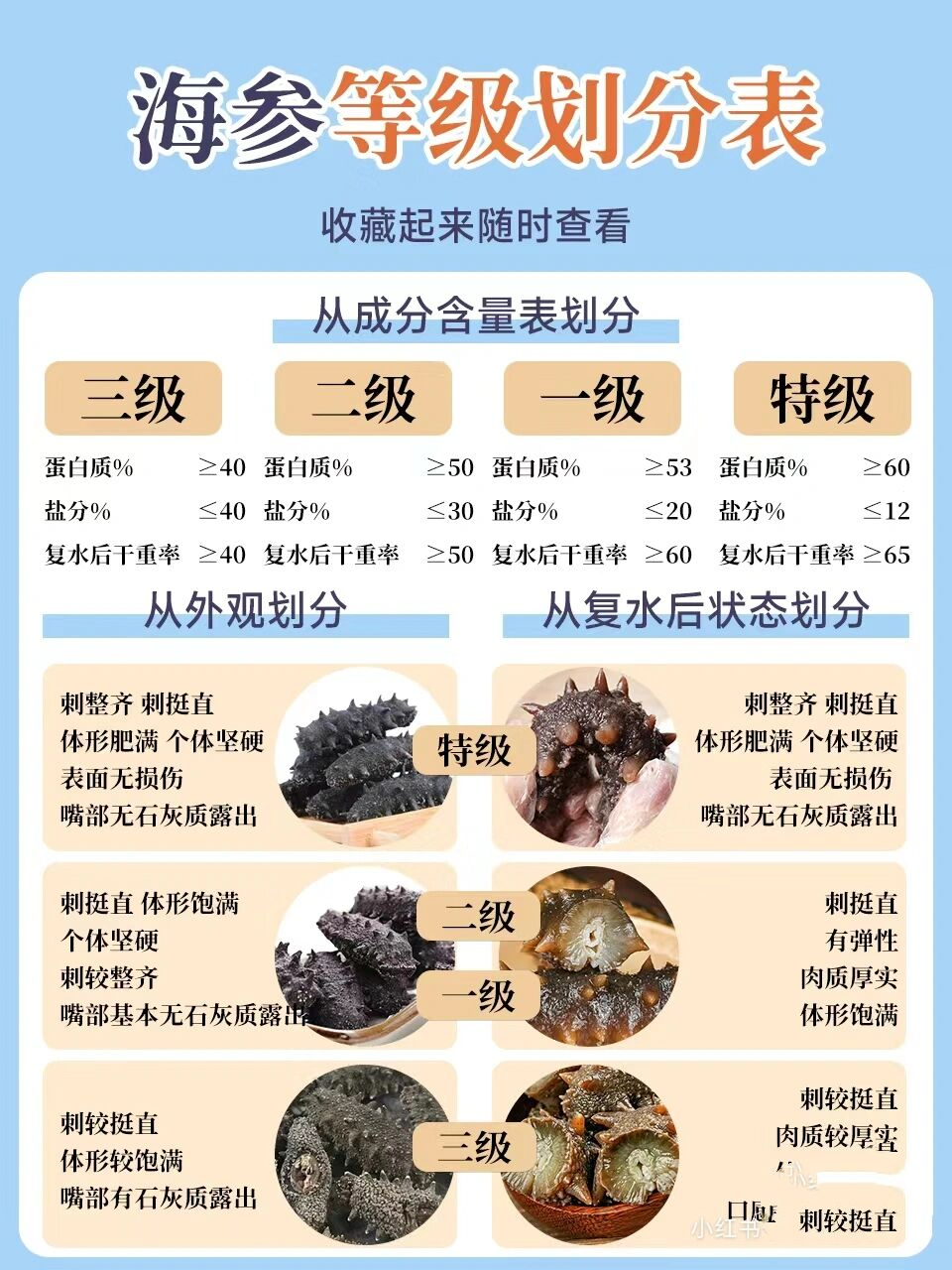 海参退货规则最新版图片，海参退货政策图解，最新版详细规则一览