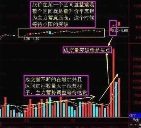 涨停统计图表图片最新版揭秘，投资风向标大揭秘！，最新涨停统计图表揭秘，洞悉投资风向标