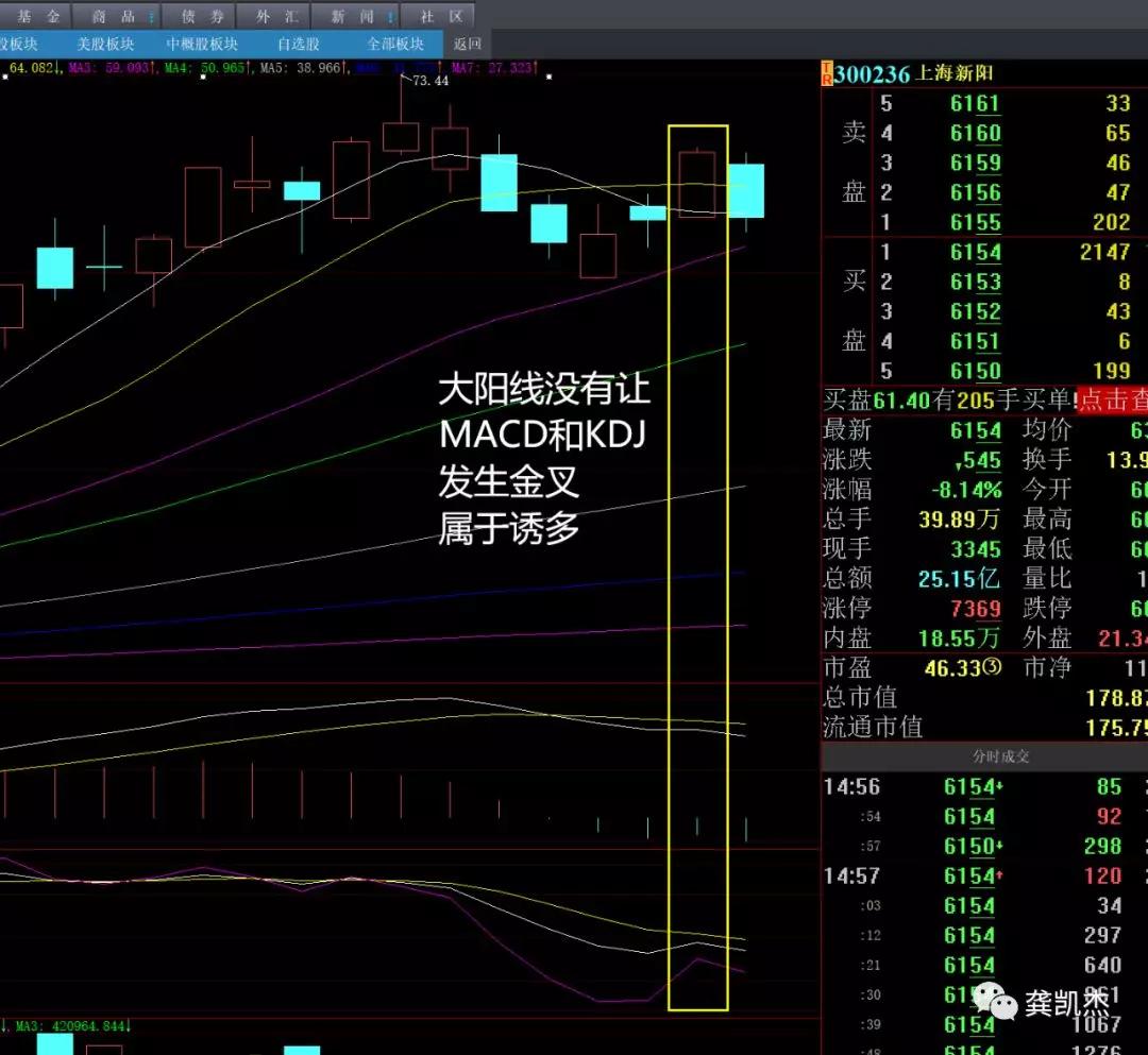 上海新阳股票最新消息,上海新阳最新股价，上海新阳股票最新动态及最新股价概览