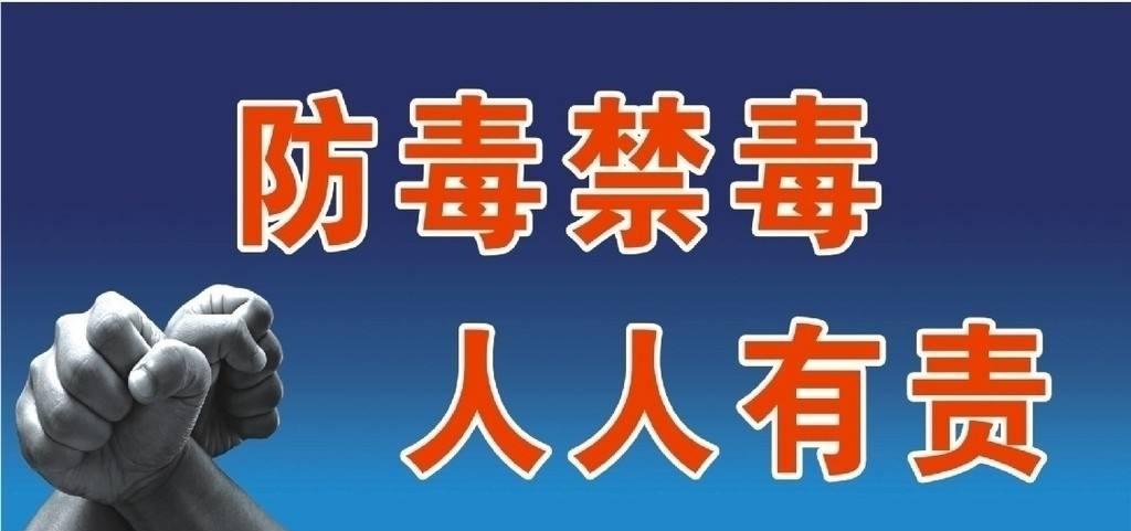 乐山禁毒案例视频最新版，乐山禁毒案例视频展示，最新案例剖析