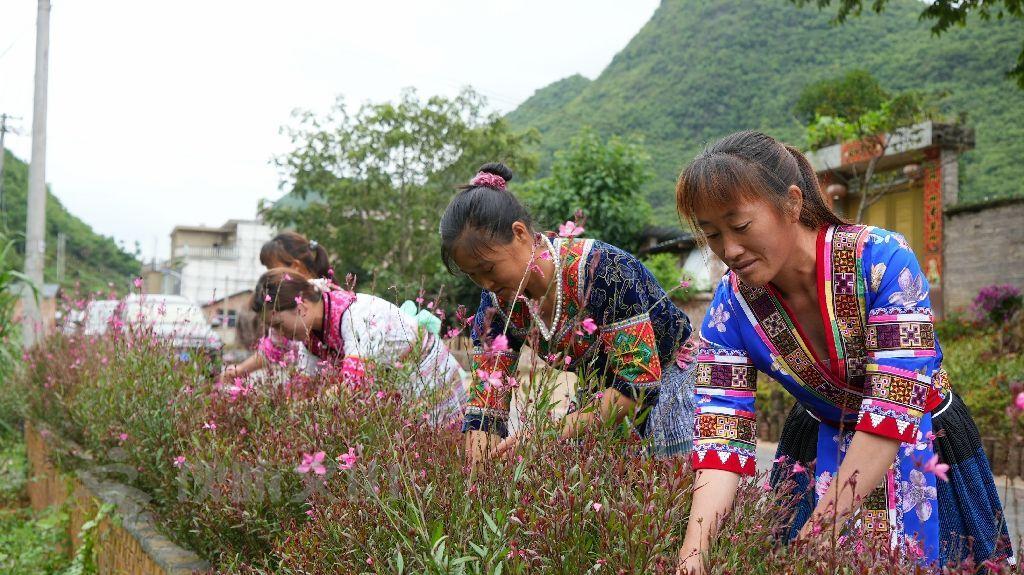 文山假山石市场最新动态，品质卓越，价格透明，尽在文山假山石出售，文山假山石市场，品质卓越，价格透明，尽享选购盛宴