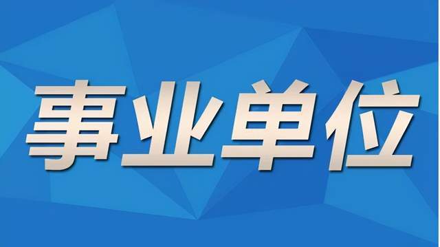 义乌百货司机招聘信息最新，职业发展的理想选择，义乌百货司机招聘，职业发展的理想选择最新信息