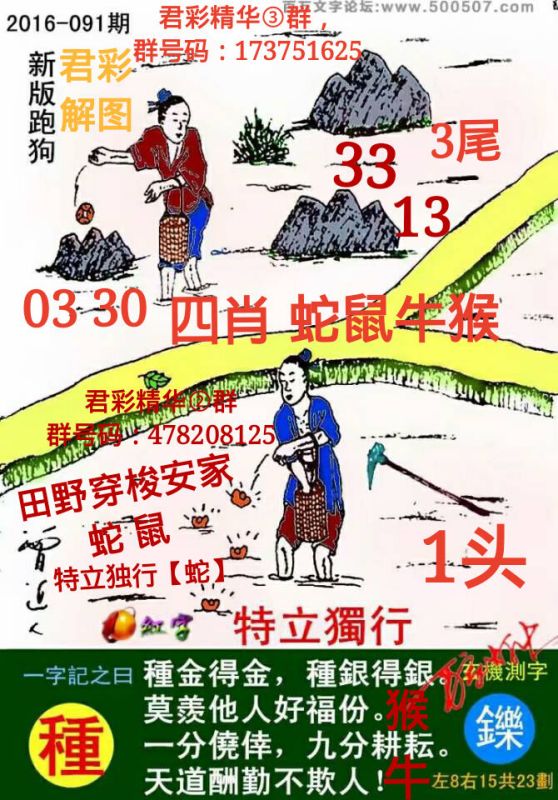 最新君彩精解跑狗图,彩图版跑狗图2018，最新君彩精解跑狗图与彩图版跑狗图2018解析