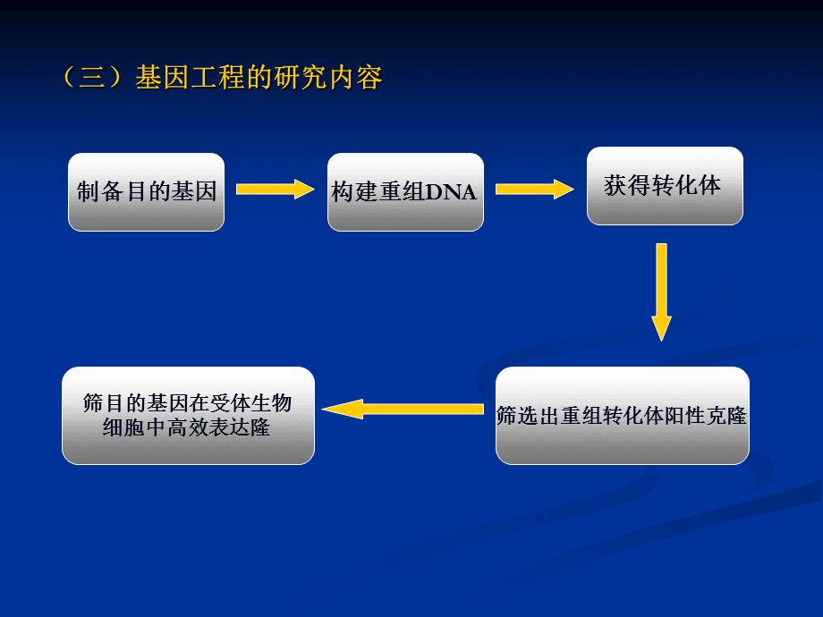 基因工程最新进展,基因工程最新进展情况，基因工程最新进展概览，最新动态与突破成果揭秘