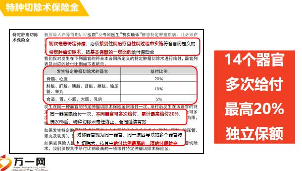 2023年竹炭清洁测评标准最新版解析，如何挑选优质竹炭清洁产品，2023年竹炭清洁产品选购指南，最新测评标准全解析