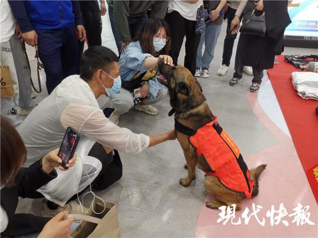 地铁逃生卡全新升级！揭秘地铁逃生卡开灯最新版使用方法，地铁逃生卡升级版亮相，全新开灯使用攻略揭晓