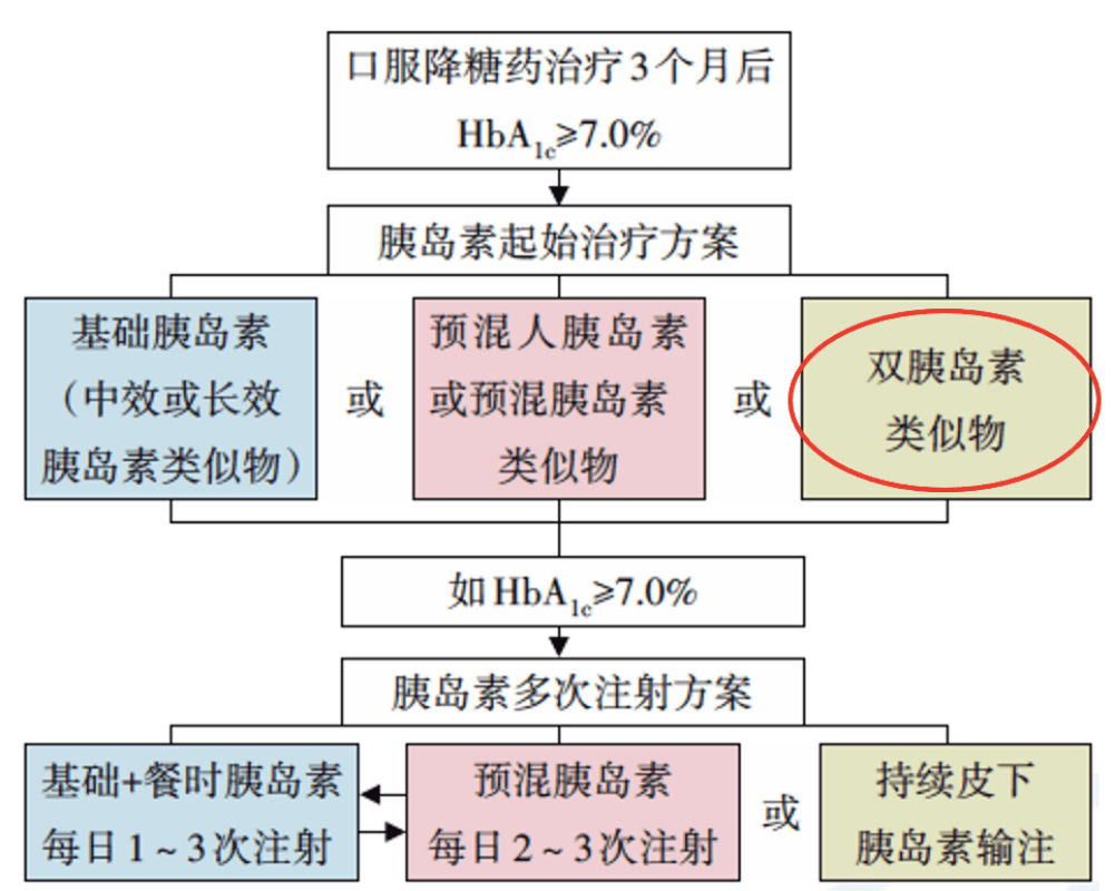 爱惜2021最新版本，深度解析与使用指南，2021爱惜版深度解析，全方位使用指南