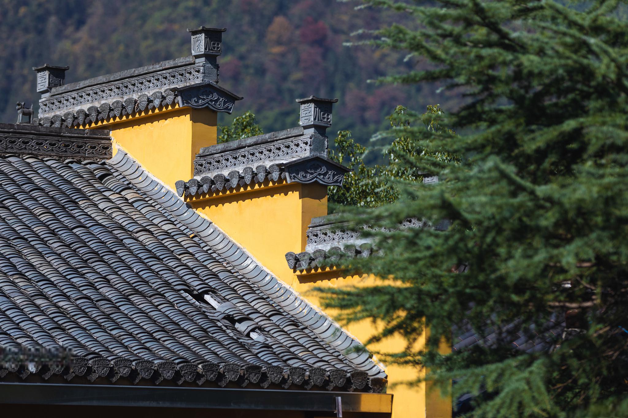 徽州区岩寺最新招聘,徽州区岩寺最新招聘信息，徽州区岩寺最新招聘信息发布，职位空缺与招聘动态更新通知！