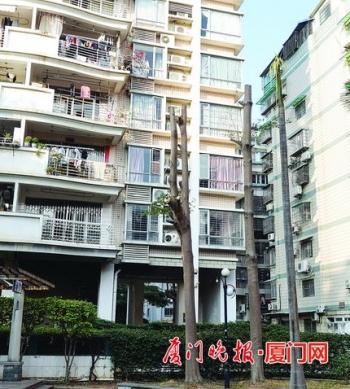 厦门最新台风动态解析，防御措施与影响预览，厦门最新台风路径解析，防御攻略与影响展望