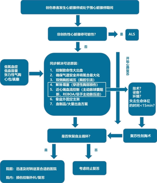 心肺复苏2021最新版指南，关键步骤与更新要点解析，2021心肺复苏指南解析，关键步骤与更新要点