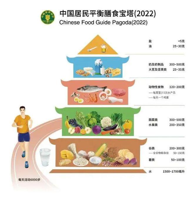 最新版膳食指南2022版，2022年最新版膳食指南全面解读