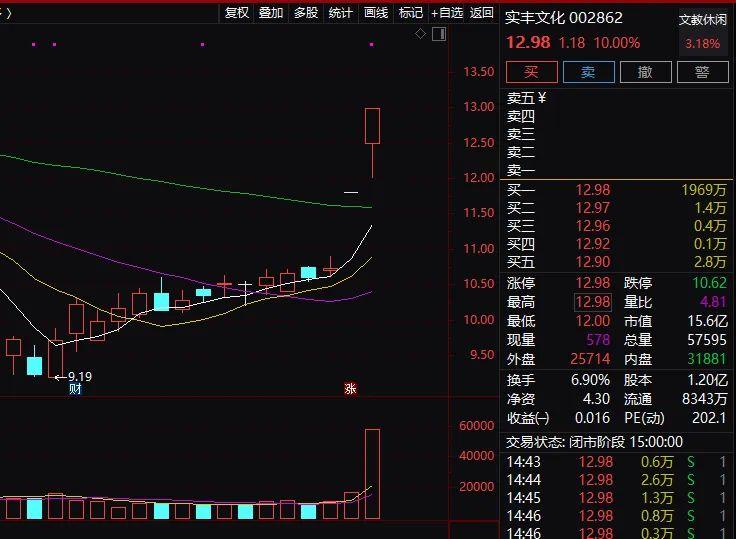 实丰文化上市最新消息,实丰文化是个什么股票，实丰文化上市最新动态，揭秘实丰文化股票的背后