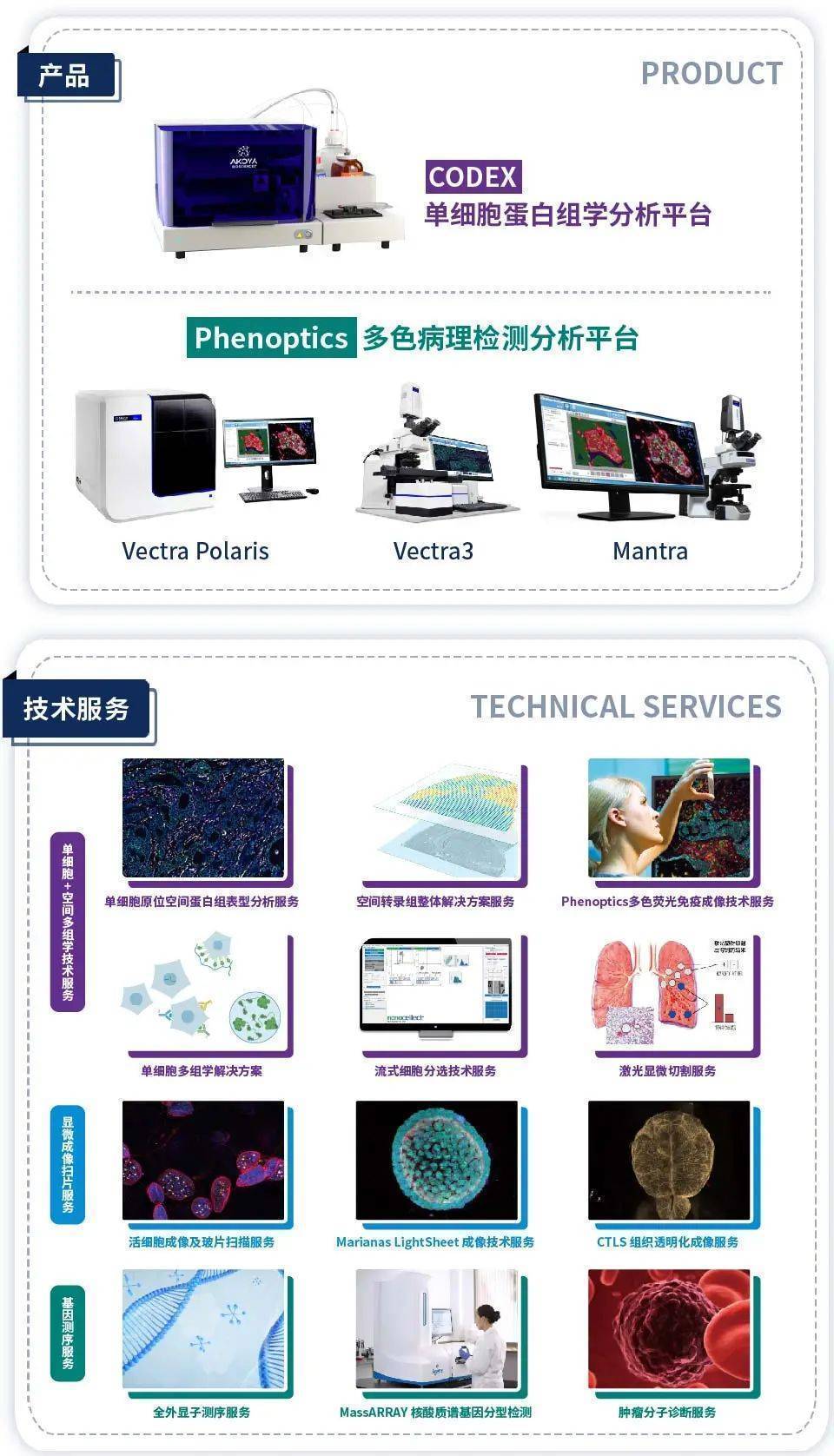 VBA最新版深度解析，功能升级、使用技巧与未来展望，VBA最新版全面解读，升级功能、实战技巧及未来趋势展望