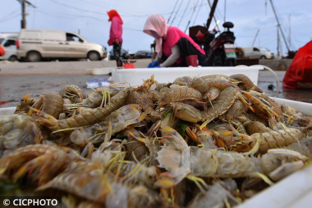 黄骅海鲜城转让信息最新，黄骅海鲜城转让资讯速递